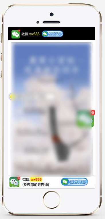 (独立手机版)落地页单页pbootcms模板 营销推广落地页网站源码下载1.jpg